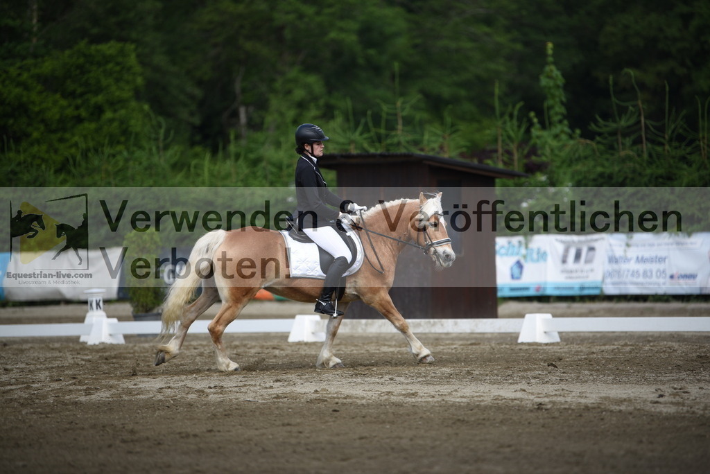 DSC_7734 | equestrian-live-com