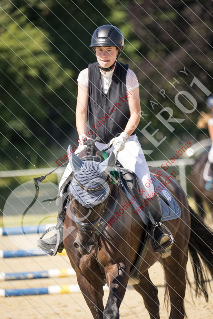 IMG_3634 | Sport-, Event- und Tierfotos in Profiqualität. Einfach auswählen, bestellen und herunterladen. Dein Moment – perfekt festgehalten.