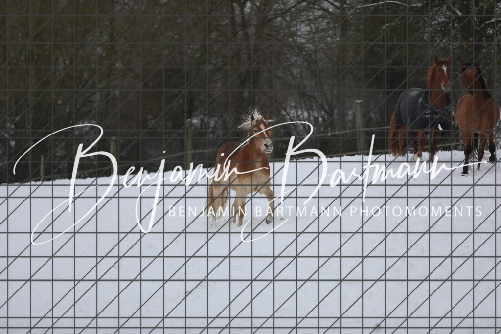 AZ2A3325 | Benjamin Bartmann Photomoments