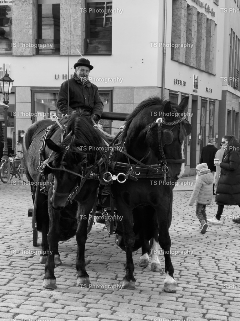 IMG_4801 | TS Photography - Realisiert mit Pictrs.com