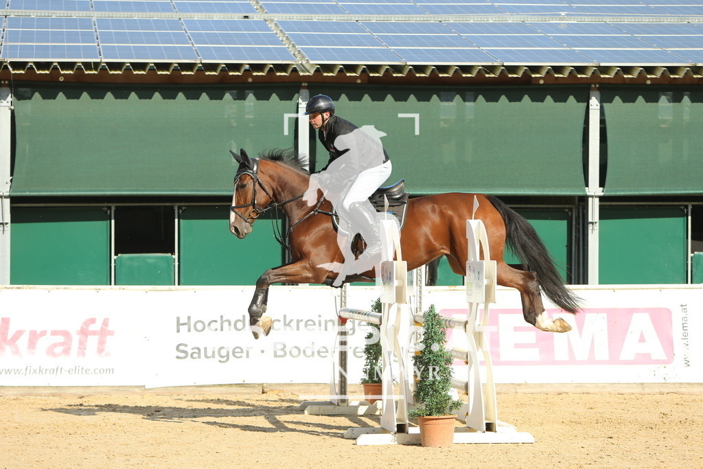 DL2Q4944 | Willkommen bei Brunnmayr - Design & Fotografie – Ihrem Spezialisten für Reitturniere und Pferdeveranstaltungen in Oberösterreich, Salzburg und Bayern! Seit über 17 Jahren sind wir leidenschaftlich dabei.