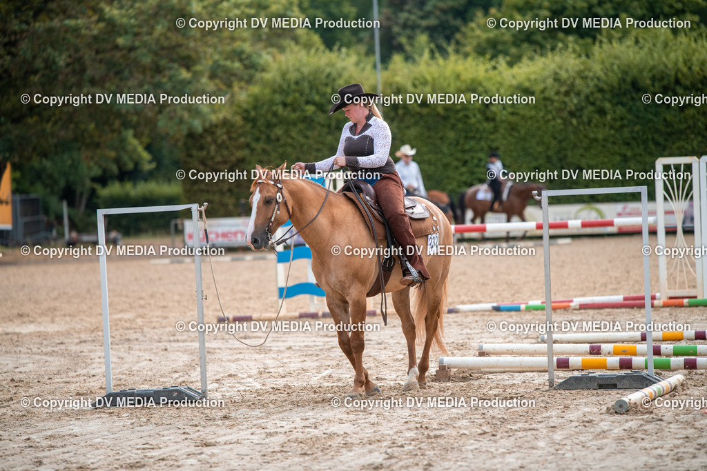 ZS3_9166 | dv-media-shop - Realisiert mit Pictrs.com