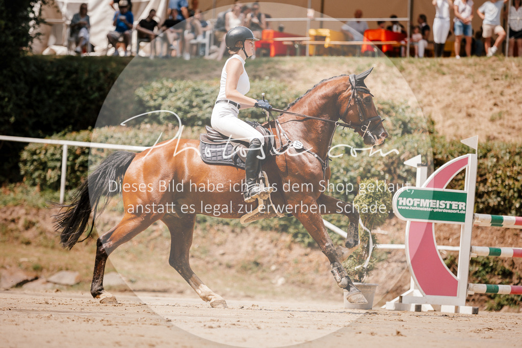 3I6A7818 | Stimmungsvolle Portraits und Reitsportfotografie im Ruhrgebiet und im Münsterland.

Pferdefotografie, Hundefotografie, Tierfotografie, Reportagen, Portraits von Tier und Mensch, Turnierfotografie in Bochum, Recklinghausen, Marl, Haltern am See, Dülmen.. - Realisiert mit Pictrs.com