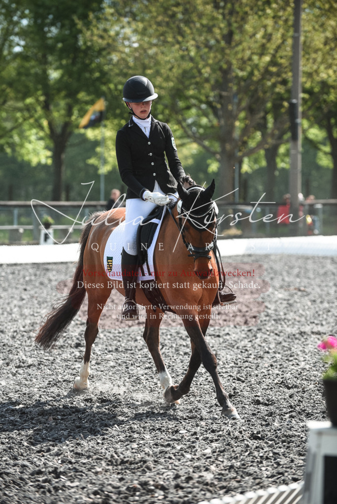 DSC_9006 | Pferde- und Turnierfotografie in Westsachsen. Pferdeportraits, Auftragszeichnungen und intuitive Kunst.