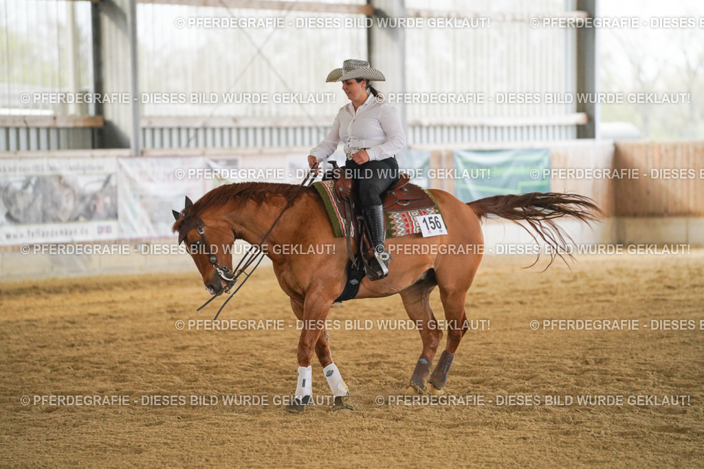 DSC08294 | Pferdegrafie