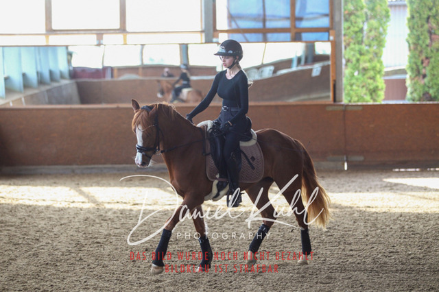 DKP42599 | Turniersportfotografie; Pferdefotografie; Dressurfotografie