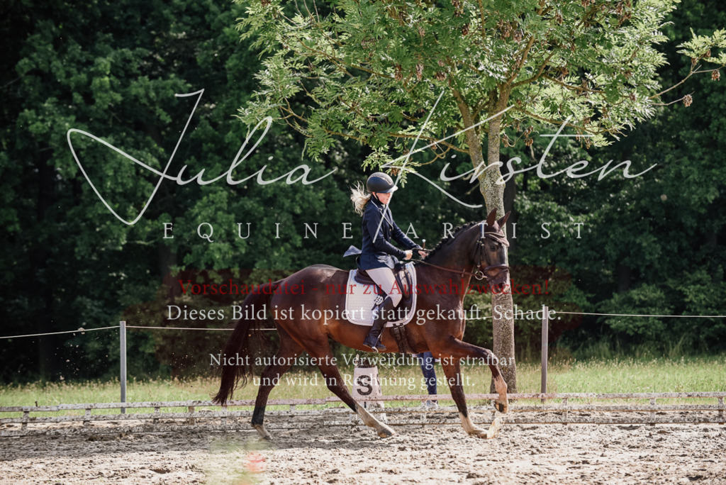 DSC_0123 | Pferde- und Turnierfotografie in Westsachsen. Pferdeportraits, Auftragszeichnungen und intuitive Kunst.