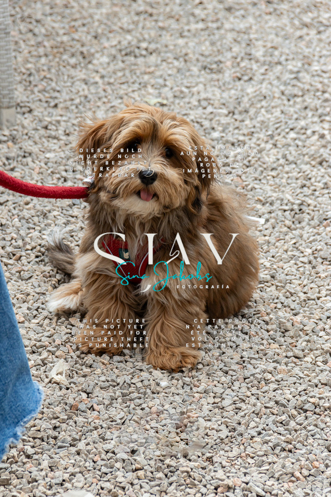 IMG_5489 | s-jay-photography - Realisiert mit Pictrs.com