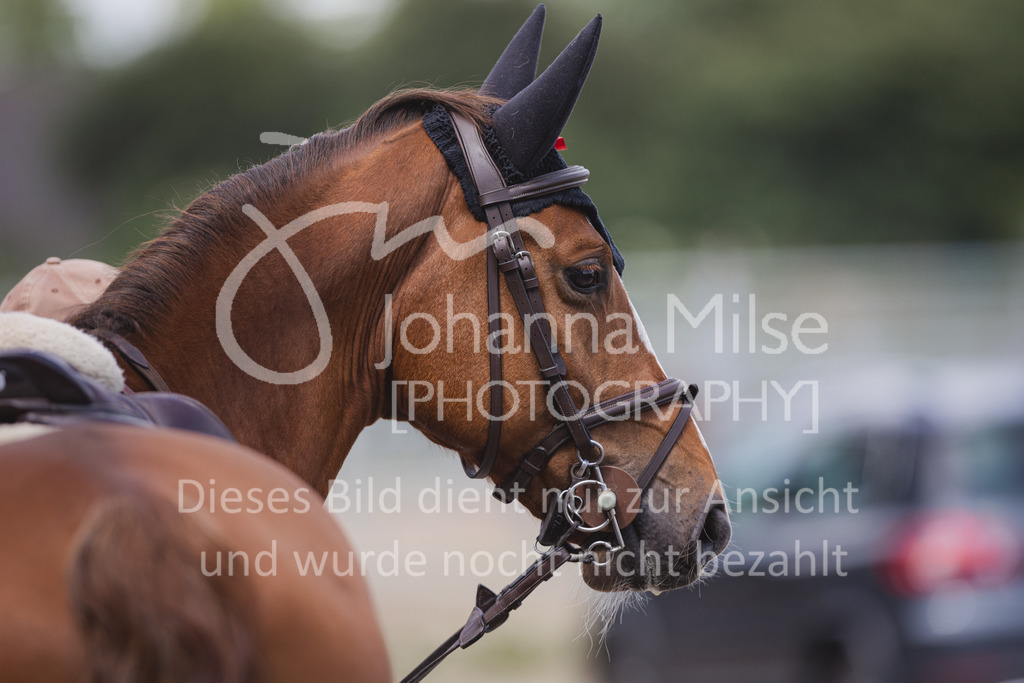 220614_Mühlen_Quali5j-700 | Late Entry Mühlen
Springpferdeprüfung Kl.M* 5j. Qualifikation zum Bundeschampionat
14.06.2022