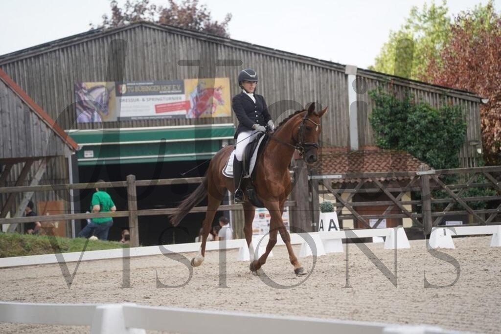 tbhsamstag (291) | d.tail Visions - Shop - Realisiert mit Pictrs.com