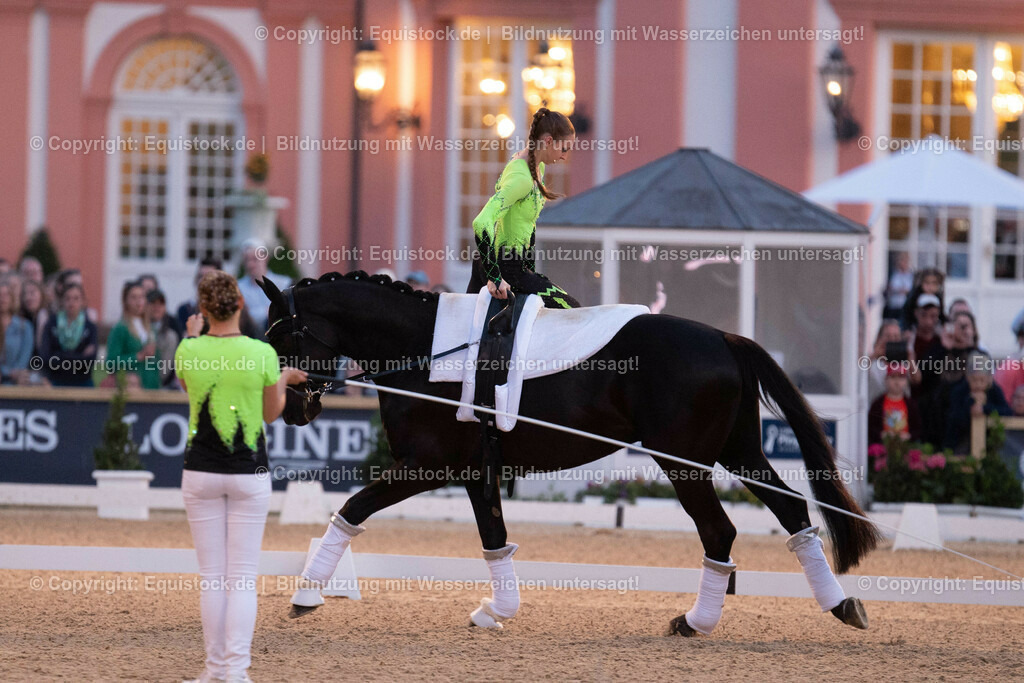 20230527_Voltigieren_NASPA_Flutlicht_0381 | equistock