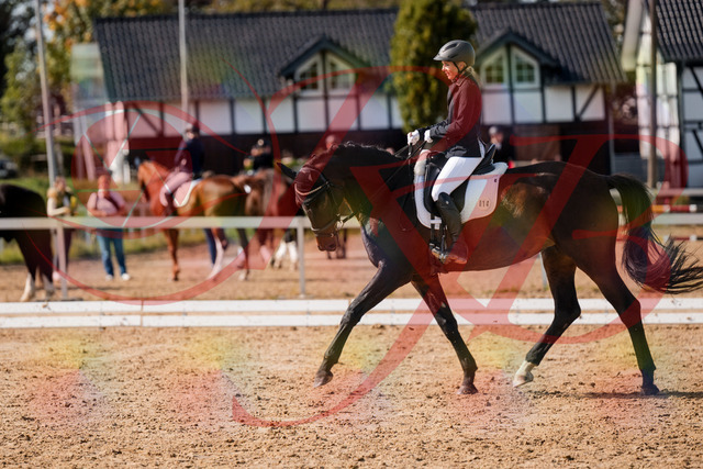 2026_10_03_Siefer-Hof_133639_Z63_97343941 | Professionelle Reitsport-, Turnier- und Eventfotografie von Robert Broda. Galerien mit ausgewählten und bearbeiteten Bildern direkt online ansehen und bestellen.