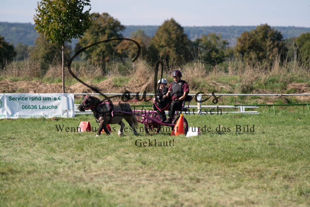 A7V04392 | Pferdefotograf