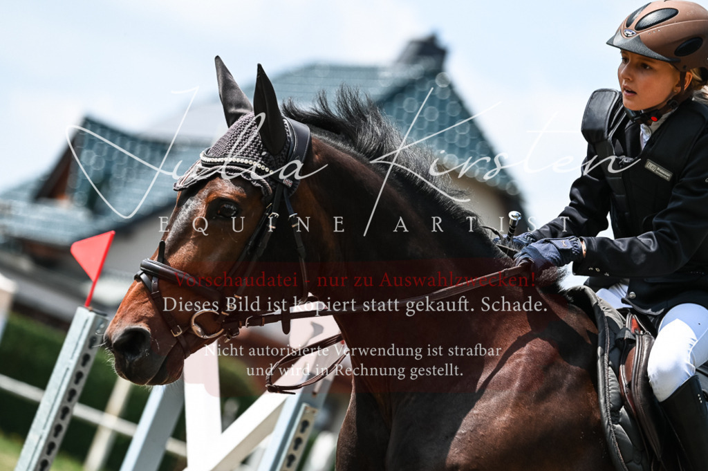 DSC_9267 | Pferde- und Turnierfotografie in Westsachsen. Pferdeportraits, Auftragszeichnungen und intuitive Kunst.