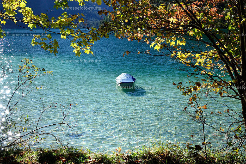 welltvi-Plansee-Impression-Herbst_04102018_DSC7824 | Info aus dem Bezirk Reutte/Ausserfern Tirol sowie eine umfangreiche Bilddatenbank über die gesamte Region: Lechtal, Talkessel Reutte, Tannheimertal, Zwischentoren. Lech, Plansee, Zugspitze, Grenztunnel, B179, Fernpassstraße, Verkehr, Lawinen, Tradition, - Realisiert mit Pictrs.com