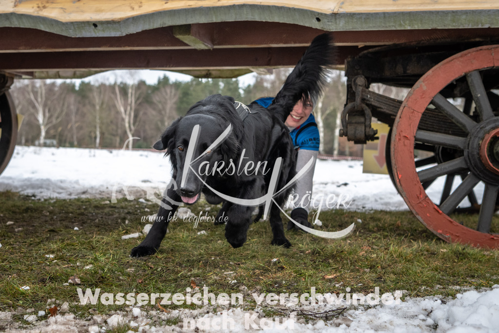 0941_ZZ91285 | kk-dogfotos