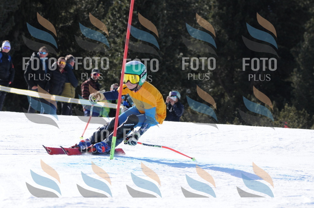 C7064 | holidayphoto