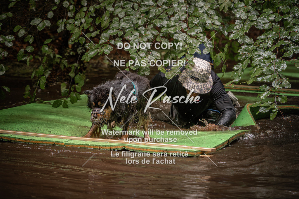 nelerasche_Wingst_Sa1330-1400_96 | nelerasche