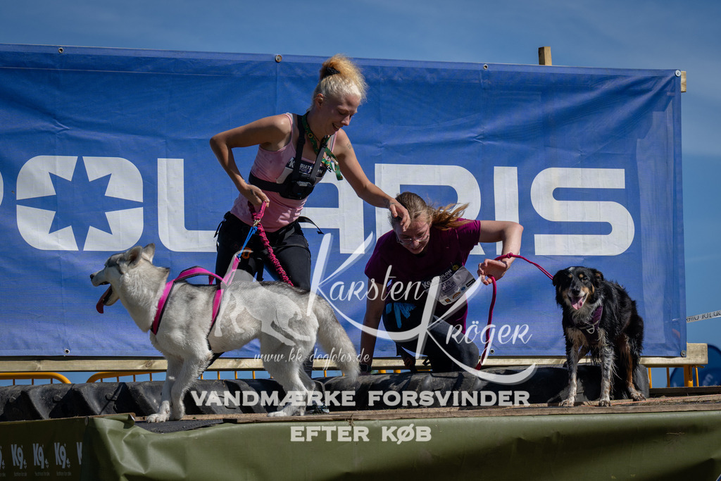 1126_ZZ91592 | kk-dogfotos