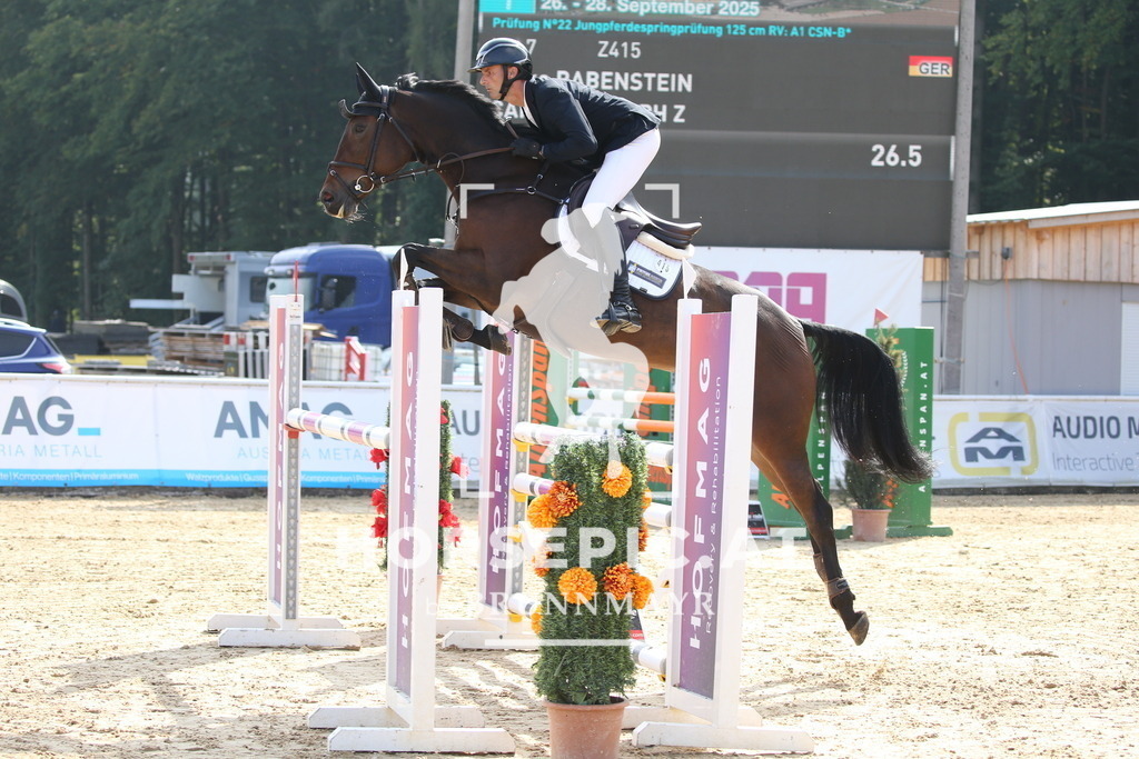 DL2Q4305 | Willkommen bei Brunnmayr - Design & Fotografie – Ihrem Spezialisten für Reitturniere und Pferdeveranstaltungen in Oberösterreich, Salzburg und Bayern! Seit über 17 Jahren sind wir leidenschaftlich dabei.