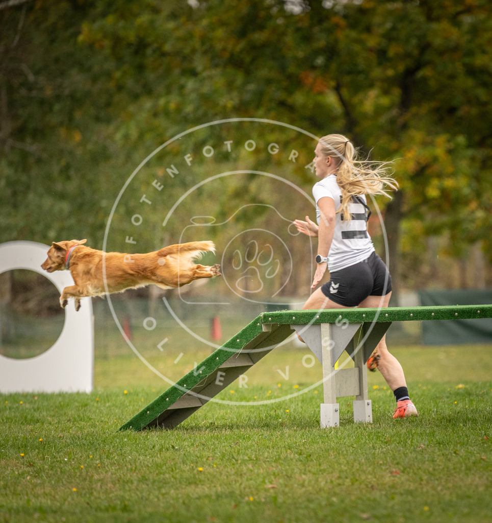 Pfotenfotografie_DV3A7012 | Hundefotografie, Tierfotograf, Pfotenfotografie, Fotoshooting Hund, Hunde Portrait, Hundesport, Hundeportraits, Heideshooting, Hunde, Sportfotograf, Hundefotograf, Turnierhundsport, THS,  - Realisiert mit Pictrs.com