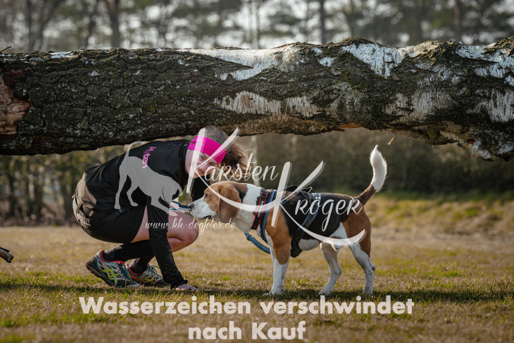 0950_ZZ90269 | kk-dogfotos