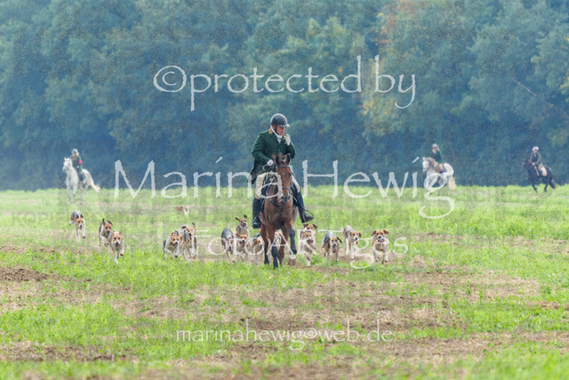 Jagd Perdoel_MarinaHewigMCH04861 | Fotografie, FotoArt, PferdesportArt, Pferdesportfotografie, Landschaftsfotografie, Reisefotografie, Reise, Pferde - Realisiert mit Pictrs.com
