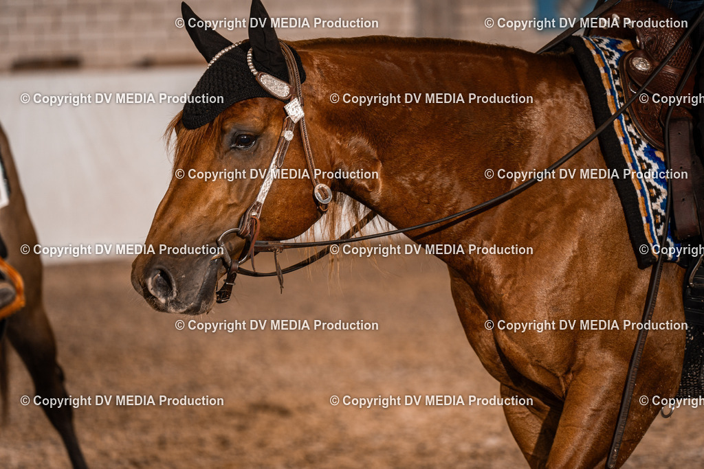 ZH200049 | dv-media-shop - Realisiert mit Pictrs.com