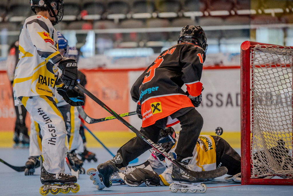 DSC_6456 | "Fussifoto.com – Ihr Ansprechpartner für hochwertige Fotografie! Entdecken Sie kreative Bilder und professionelle Dienstleistungen. Kontaktieren Sie uns für Ihre Projekte!"