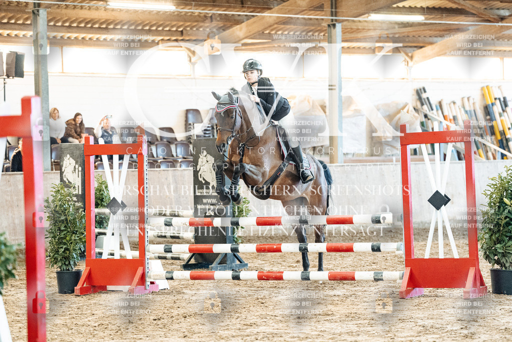 CK904392 | Turnierfotografie Pferdefotografie Trier Rheinland-Pfalz Pferdesport Reitsport Tierfotografie Sportfotografie Pferdevideo Pferdevideografie Equestrianvideography equestrianphotography  - Realisiert mit Pictrs.com