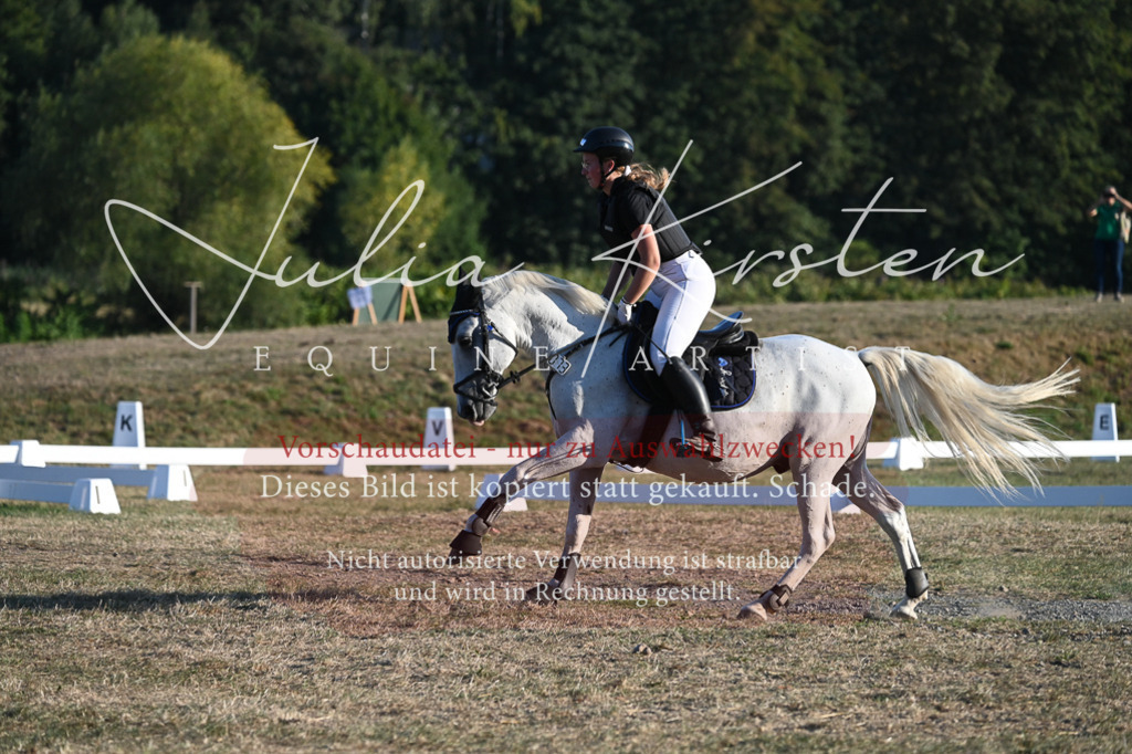 DSC_9194 | Pferde- und Turnierfotografie in Westsachsen. Pferdeportraits, Auftragszeichnungen und intuitive Kunst.