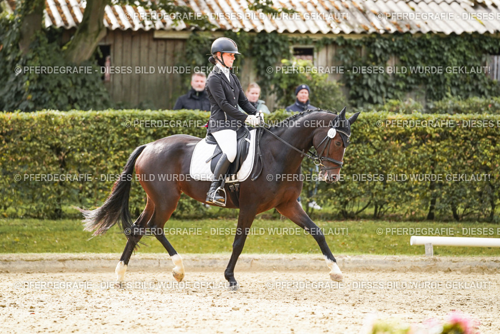 DSC00975 | Pferdegrafie