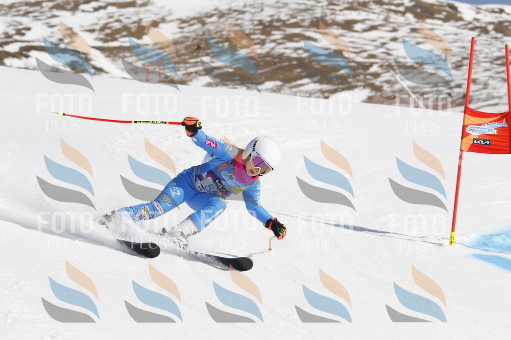 _U3G9528 | holidayphoto