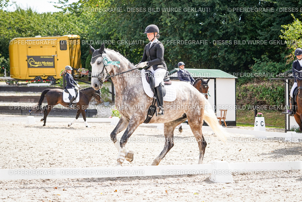 DSC02339 | Pferdegrafie