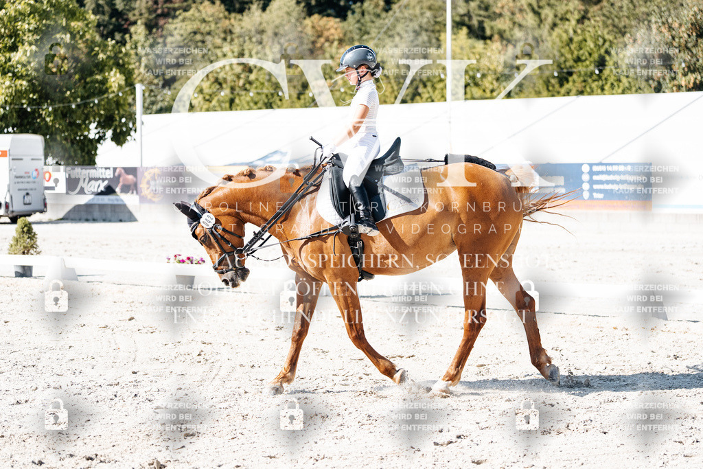 CK903333 | Turnierfotografie Pferdefotografie Trier Rheinland-Pfalz Pferdesport Reitsport Tierfotografie Sportfotografie Pferdevideo Pferdevideografie Equestrianvideography equestrianphotography  - Realisiert mit Pictrs.com