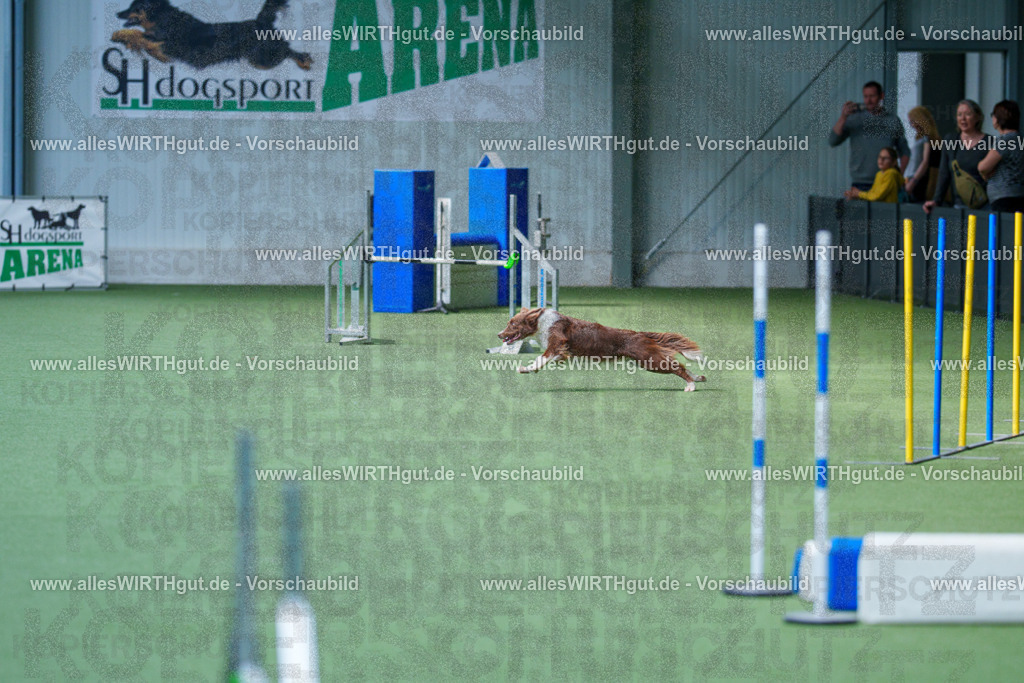 @allesWIRTHgut_Tierfotografie - www.allesWIRTHgut.de - 2604261402-7R503253 | Professionelle Tierfotografie in Mönchengladbach von Daniel Wirth (allesWIRTHgut). Liebevolle & natürliche Bilder von Hunden & Katzen für unvergessliche Erinnerungen.