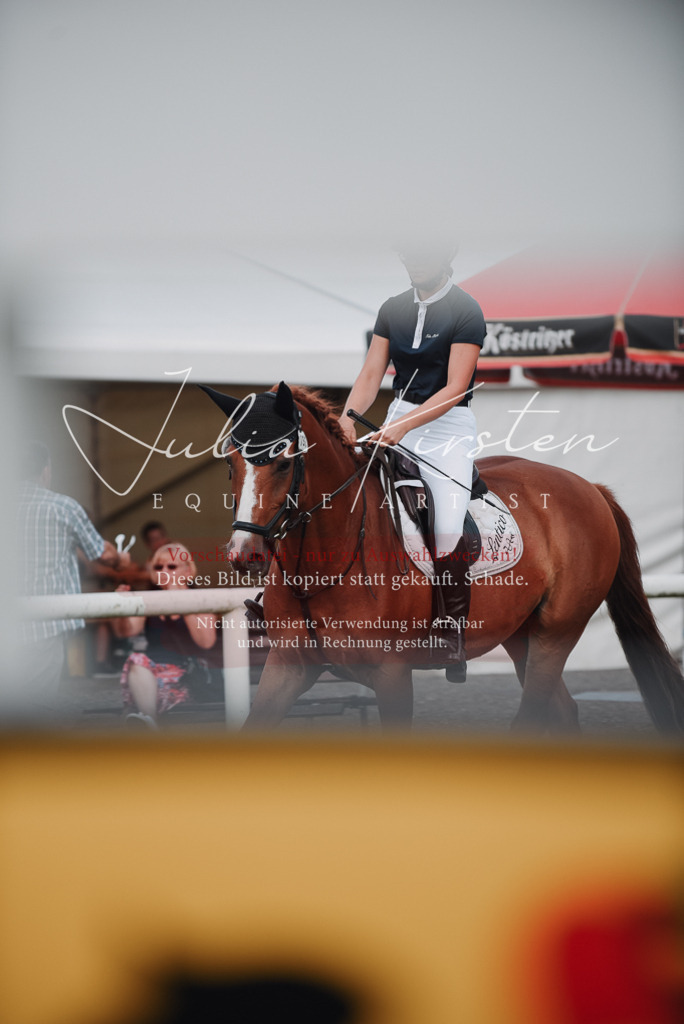 DSC_5606 | Pferde- und Turnierfotografie in Westsachsen. Pferdeportraits, Auftragszeichnungen und intuitive Kunst.
