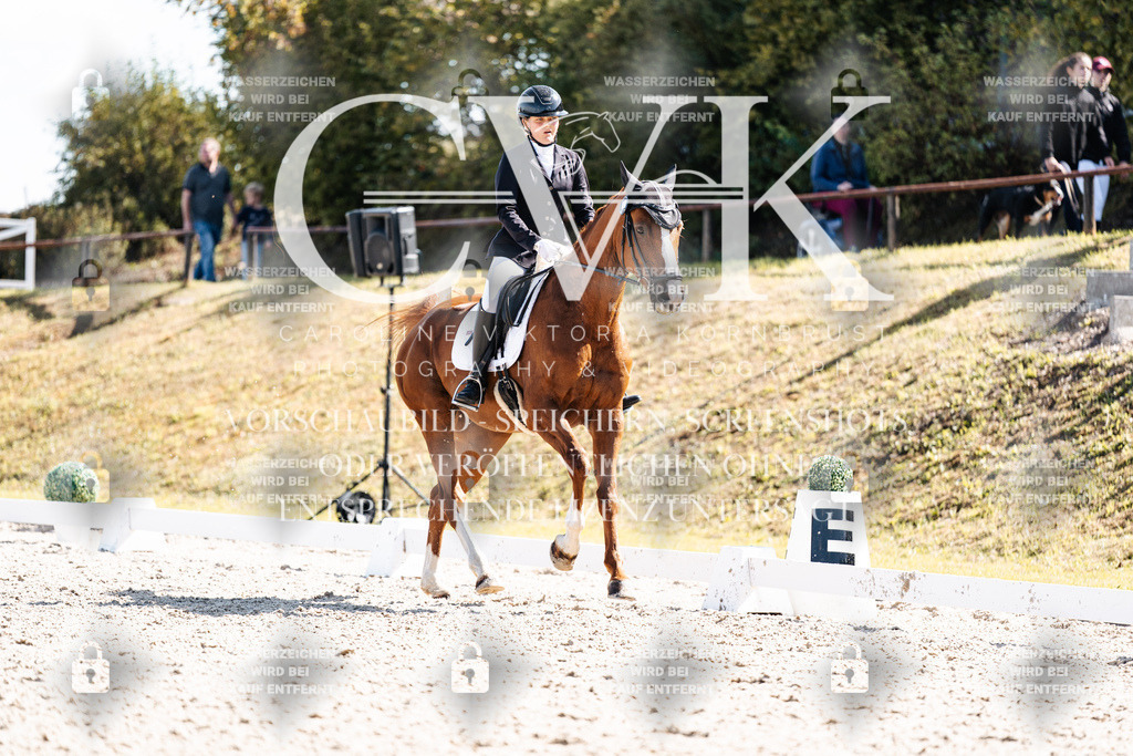 CK902857 | Turnierfotografie Pferdefotografie Trier Rheinland-Pfalz Pferdesport Reitsport Tierfotografie Sportfotografie Pferdevideo Pferdevideografie Equestrianvideography equestrianphotography  - Realisiert mit Pictrs.com