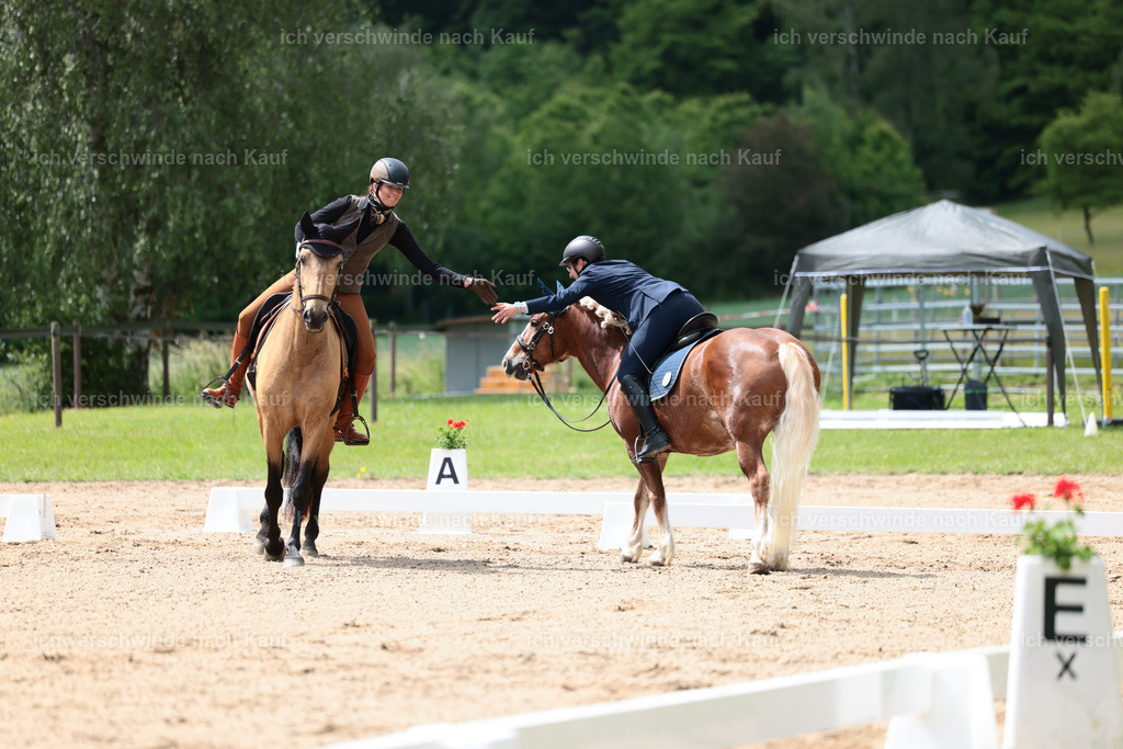 KlasseE_Stoibphotography_CAM21817.JPG | working equitationturnier fotograf videograf stoibphotography marixx film working equitation deutschland reitsport turnierfotografie eventfotografie equestrian events
