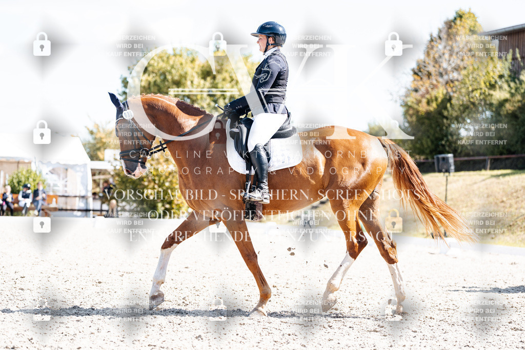 CK903246 | Turnierfotografie Pferdefotografie Trier Rheinland-Pfalz Pferdesport Reitsport Tierfotografie Sportfotografie Pferdevideo Pferdevideografie Equestrianvideography equestrianphotography  - Realisiert mit Pictrs.com
