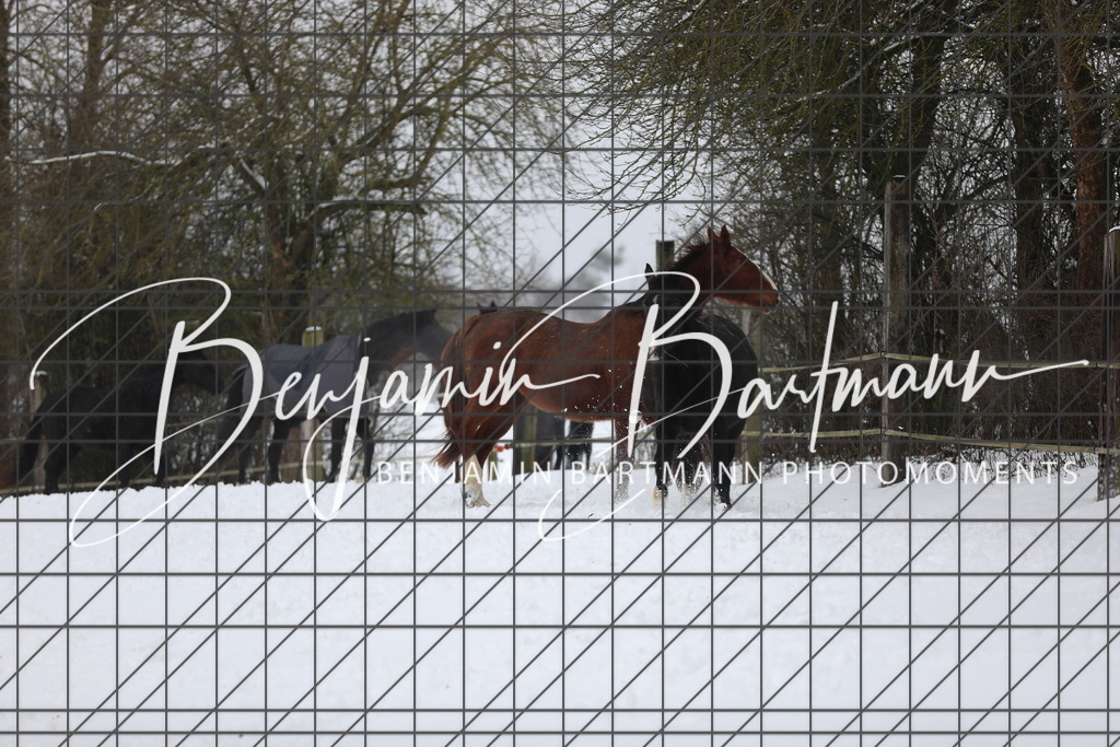 AZ2A3295 | Benjamin Bartmann Photomoments