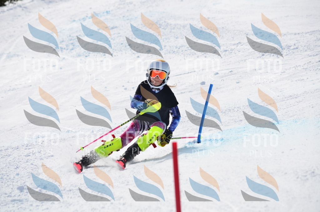 C9991 | holidayphoto