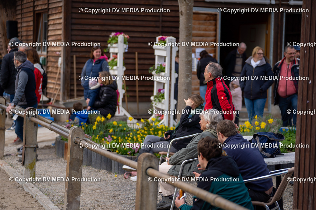 Springen Tag 3-444 | dv-media-shop - Realisiert mit Pictrs.com