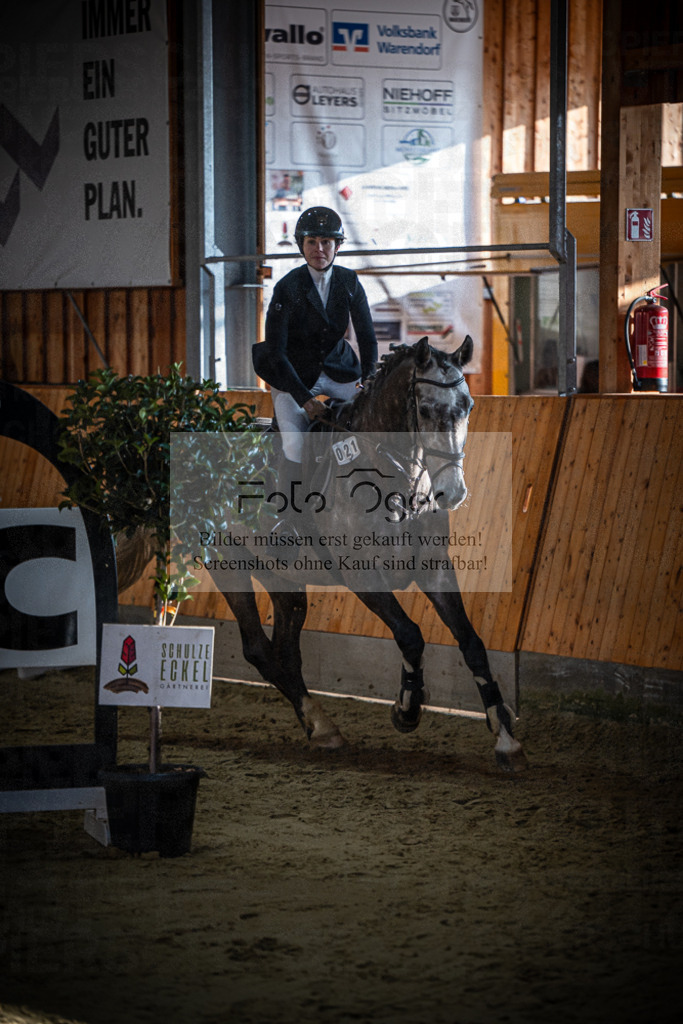 DOS_0806 | Entdecke hochwertige Reitturnierfotos von Foto Oger. Professionell, emotional und authentisch – jetzt Lieblingsmomente im Shop bestellen.Deutschlandweite Turnierfotografie. - Realisiert mit Pictrs.com