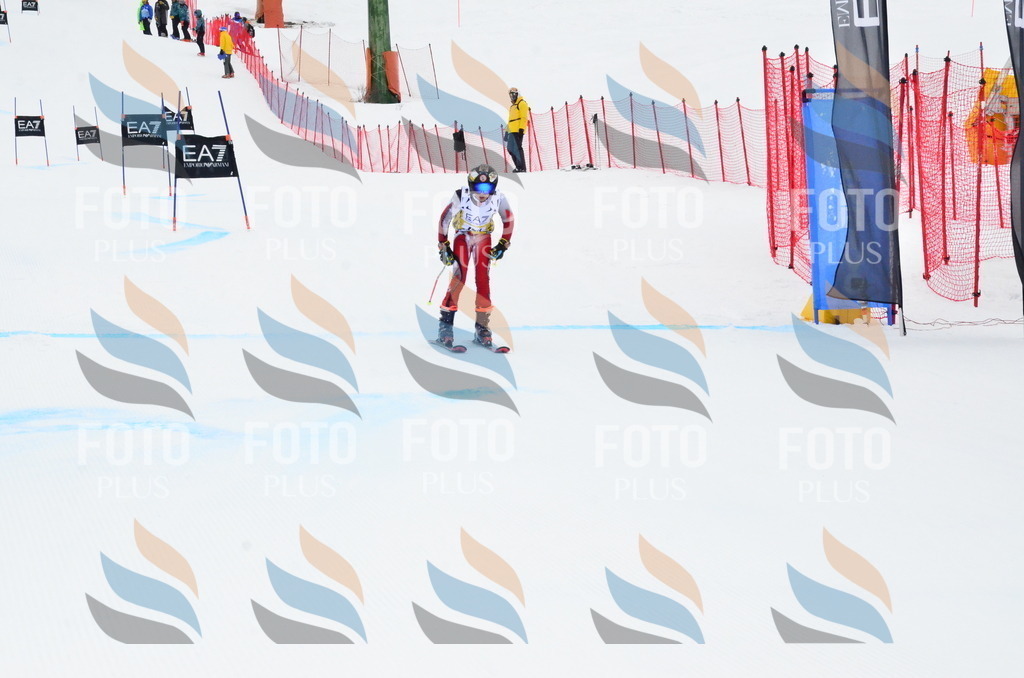 _ELE3922 | holidayphoto