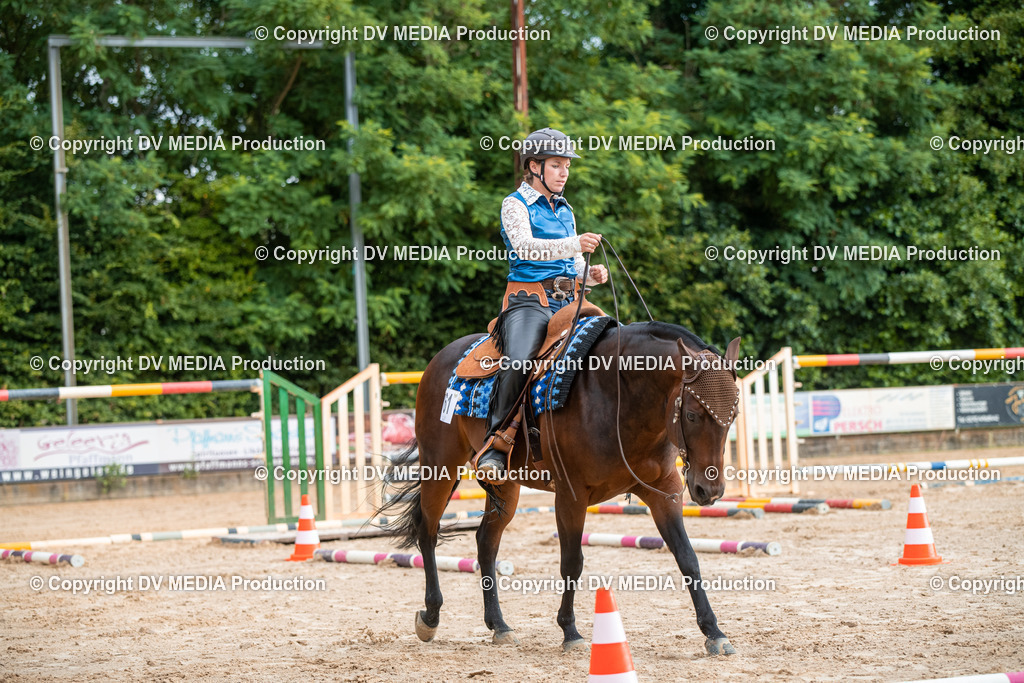 ZS2_7382 | dv-media-shop - Realisiert mit Pictrs.com