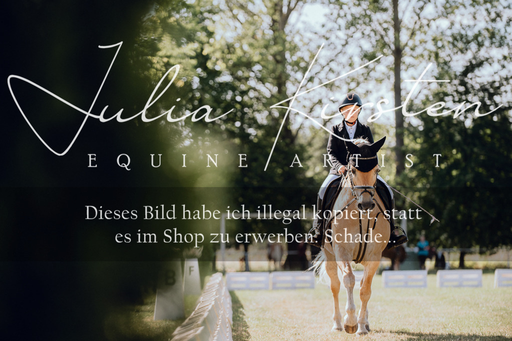 DSC_7149 | Pferde- und Turnierfotografie in Westsachsen. Pferdeportraits, Auftragszeichnungen und intuitive Kunst.