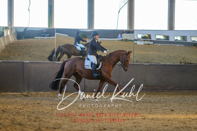 IMG_3328 | Turniersportfotografie; Pferdefotografie; Dressurfotografie