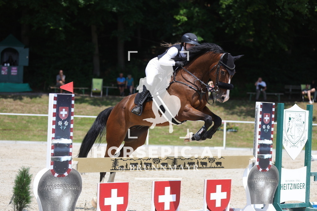 0P6A9571 | Willkommen bei Brunnmayr - Design & Fotografie – Ihrem Spezialisten für Reitturniere und Pferdeveranstaltungen in Oberösterreich, Salzburg und Bayern! Seit über 17 Jahren sind wir leidenschaftlich dabei.
