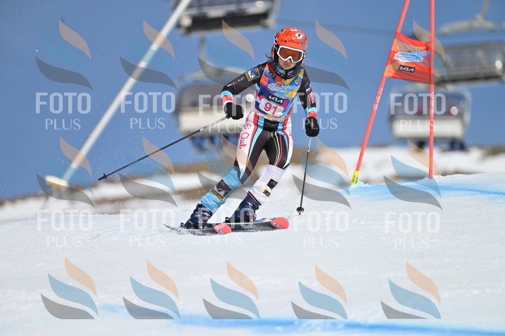 BGV_9272 | holidayphoto